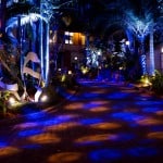 Customer Outdoor Lighting BCL Productions